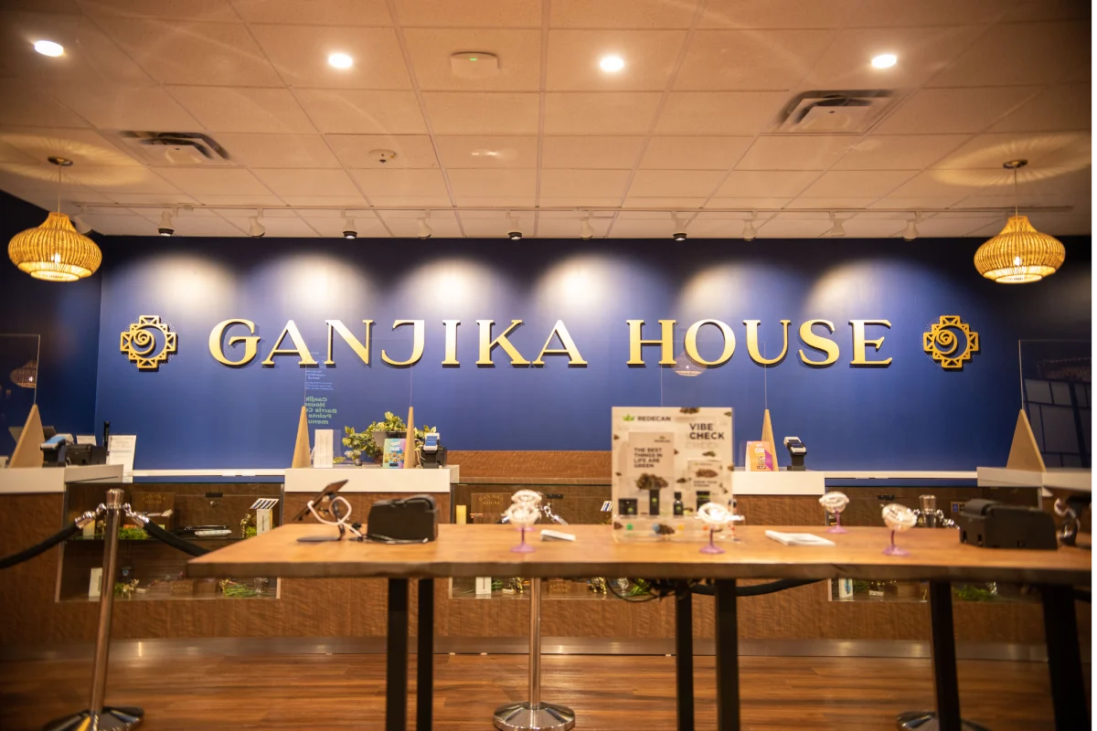 A Complete Guide to Ganjika House: Your Destination for Quality Cannabis